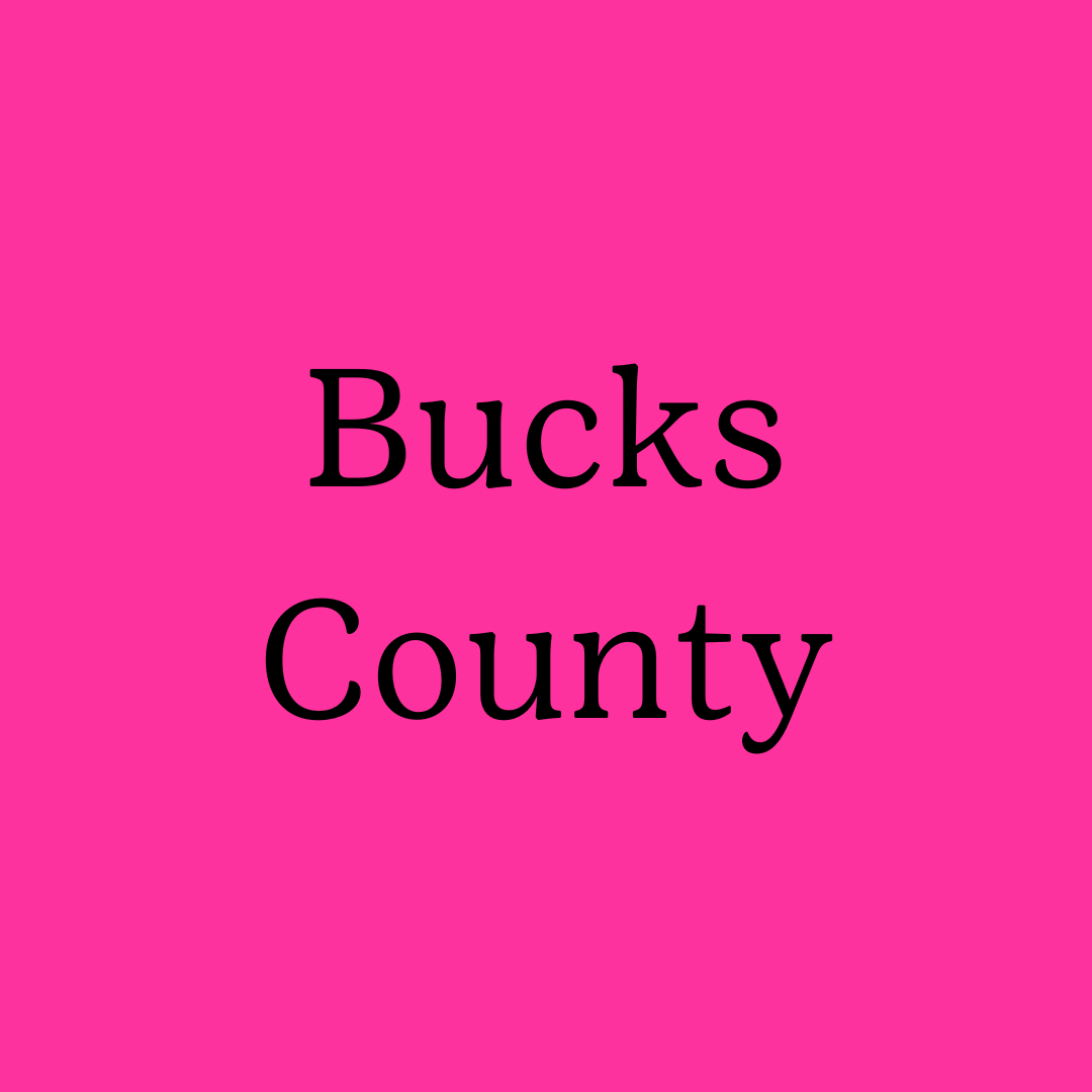 Discover Girl Scouts - Lower Bucks Holiday Event