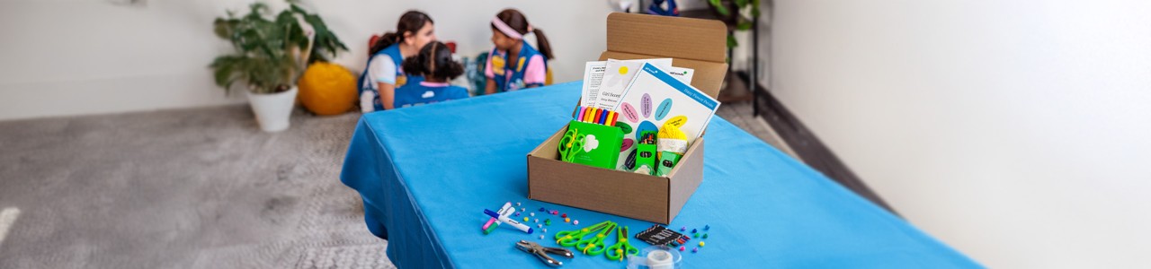 Girl Scout Experience Boxes