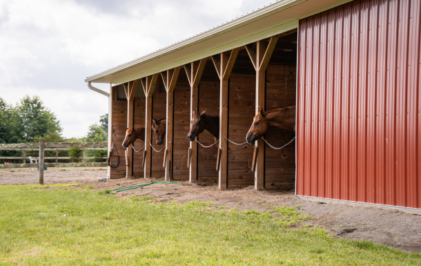 Learn more about Camp Laughing Waters in Gilbertsville