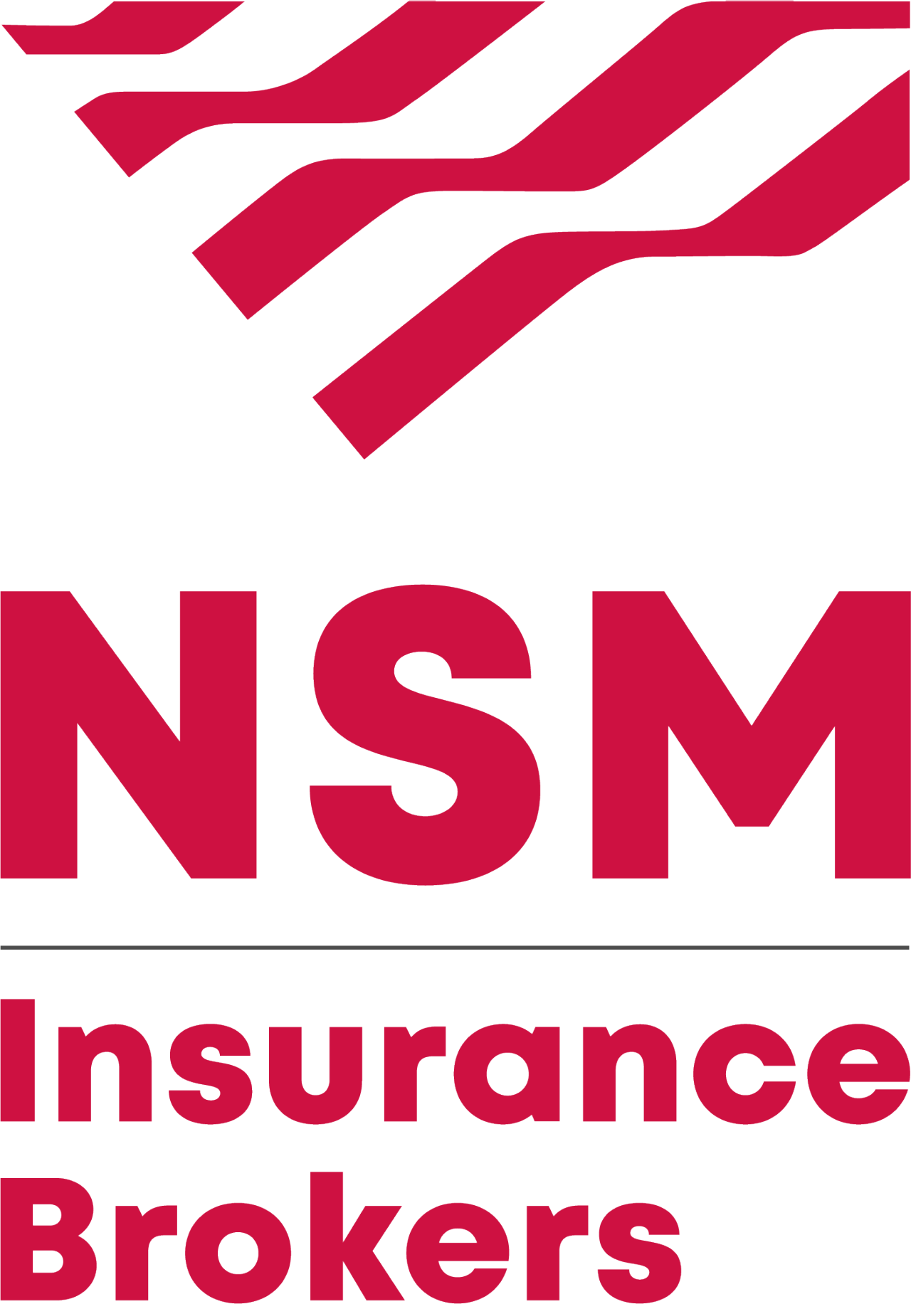 NSM Logo